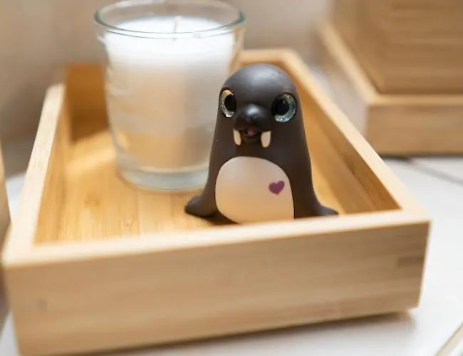 Apartament Elbtal-apartment De Heidenau (Saxony)